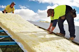 Best Eco-Friendly Insulation Solutions  in Godley, TX